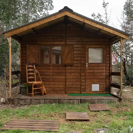 Le Phenix - Hypercentre 16 Personnes Garage Gratuit Wifi Jardin Barbecue Proche Parc Tete D'or
