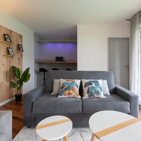 Le Phenix - Hypercentre 16 Personnes Garage Gratuit Wifi Jardin Barbecue Proche Parc Tete D'or Villeurbanne